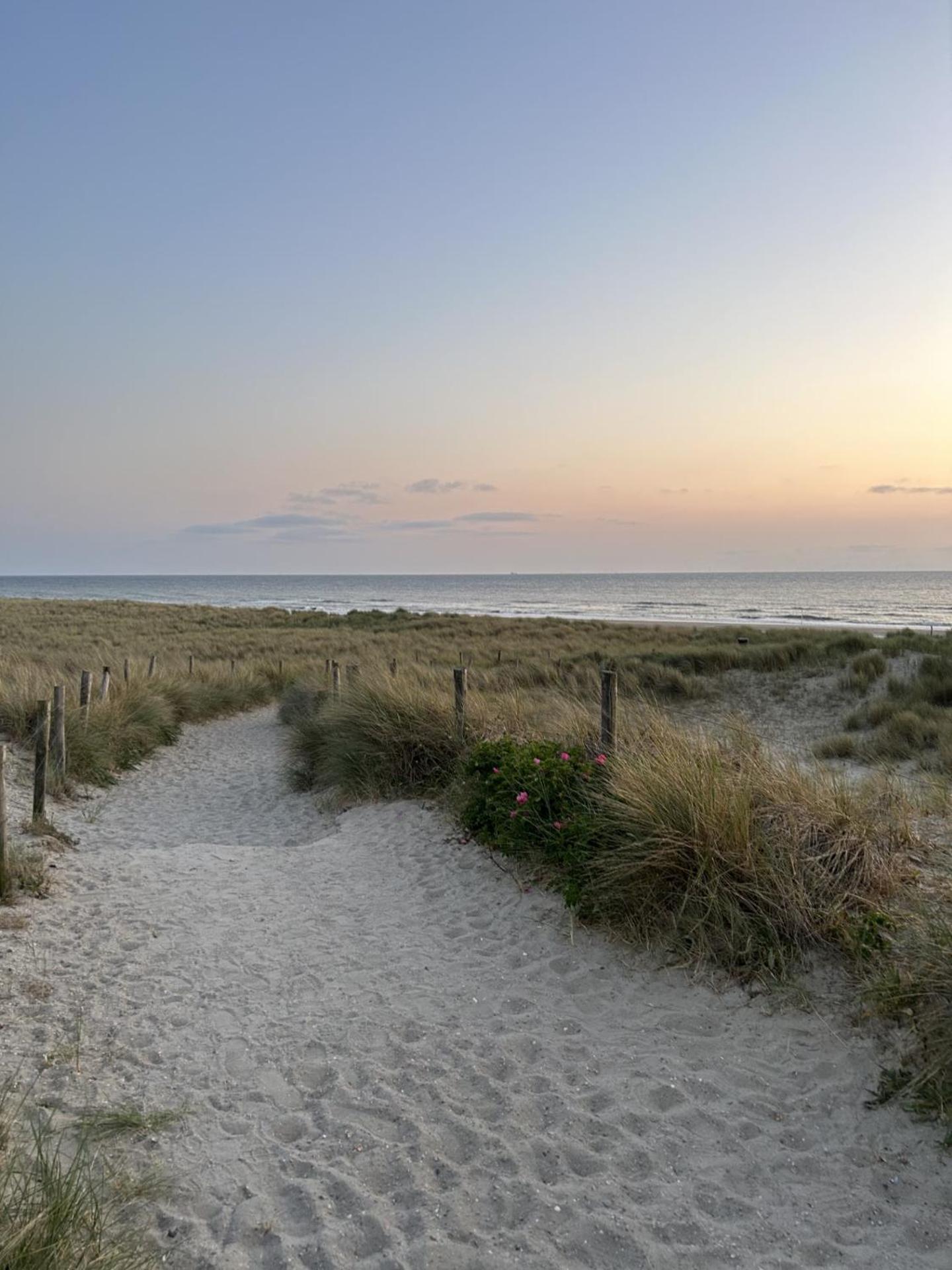 Breezy Beach Chalet Petten Εξωτερικό φωτογραφία
